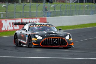 #101 - Volante Rosso Motorsport - Ross Poulakis - Sam Brabham - Mercedes-AMG GT3 l &copy; Speed Shots Photography l Nathan Wong | GT World Challenge Australia