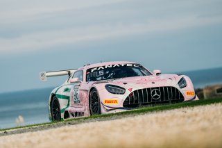 #96 - RAM Motorsport - Michael Bailey - Brett Hobson - Mercedes-AMG GT3 l &copy; Race Project l Daniel Kalisz | GT World Challenge Australia