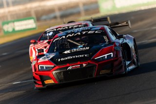 #9 - Hallmarc Team MPC - Marc Cini - Audi R8 LMS GT3 Evo2 l © Race Project l Daniel Kalisz | GT World Challenge Australia