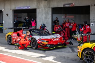 #8 - Arise Racing GT - Elliott Schutte - Jaxon Evans - Ferrari 296 GT3 l © Race Project l Daniel Kalisz | GT World Challenge Australia
