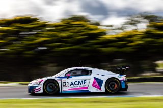 #81 - Team BRM/ACM Finance - Mark Rosser - Alex Peroni - Audi R8 LMS GT3 Evo 2 l © Race Project l Daniel Kalisz | GT World Challenge Australia