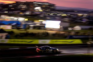 #13 - Phantom Global Racing - Bastian Buus - Joel Eriksson - Jason Evans - Porsche 911 GT3 R Type-992 l © SRO GruppeC GmbH l Tim Upietz | GT World Challenge Australia