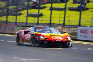 #26 – Arise Racing GT – Jaxon Evans / Elliott Schutte – Ferrari 296 GT3  | | © Speed Shots Photography | Nathan Wong