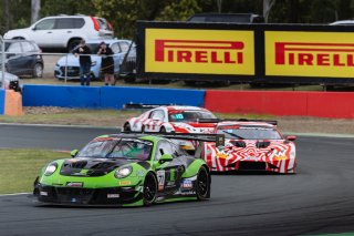#71 - AED Consulting/Tigani Motorsport - Luke Youlden - Nathan Halstead - Porsche 911 GT3R (Type 991) l &copy; Race Project l Daniel Kalisz | GT World Challenge Australia