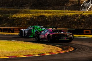 #23 - Zagame Autosport - Cameron Campbell  - Ferrari 296 GT3 l &copy; Jack Martin Photography | &copy; Jack Martin Photography