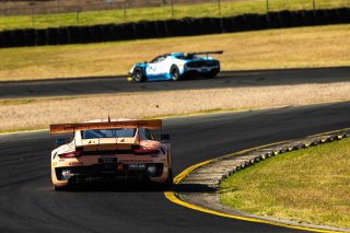 #81 - Earl Bamber Motorsport - Tom McLennan - Andrew Georgiadis - Porsche 911 GT3R (991.2) | &copy; Jack Martin Photography