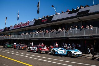 #181 - OnlyFans Racing - William Davison - Renee Gracie - Ferrari 296 GT3 | &copy; Jack Martin Photography