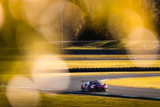 #23 - Zagame Autosport - Josh Buchan - Cameron Campbell - Ferrari 296 GT3 l &copy; Jack Martin Photography | &copy; Jack Martin Photography