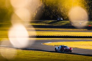 #26 - ARGT - Jaxon Evans - Elliot Schutte - Ferrari 296 GT3 l &copy; Jack Martin Photography | &copy; Jack Martin Photography