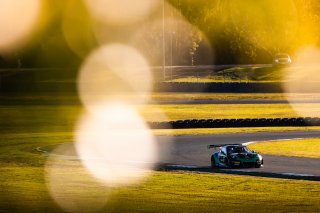 #71 - AED Consulting by Tigani Motorsport - Luke Youlden - Nathan Halstead - Porsche 911 GT3R (991.1) l &copy; Jack Martin Photography | &copy; Jack Martin Photography