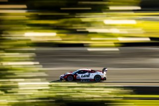 #26 - ARGT - Jaxon Evans - Elliot Schutte - Ferrari 296 GT3 l &copy; Jack Martin Photography | &copy; Jack Martin Photography